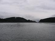 IMG_2157