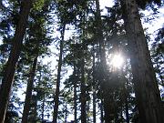IMG_2198