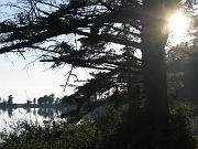 IMG_2217