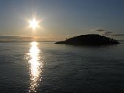 IMG_2231