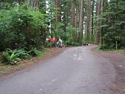 IMG_2403