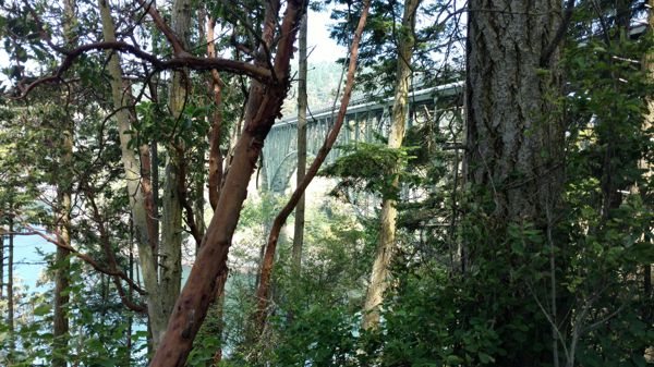 IMG_20170529_125636172.jpg