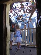IMG_3737