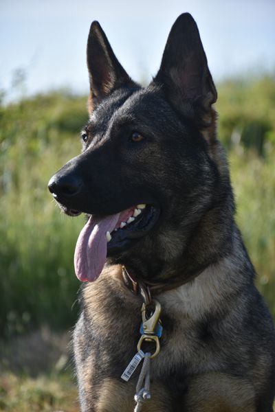 DSC_0299.JPG