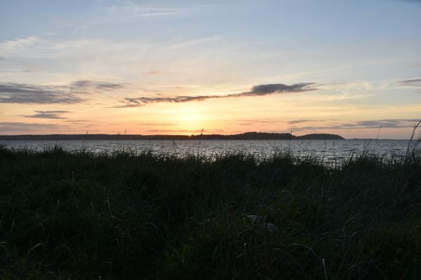 DSC_0320.JPG