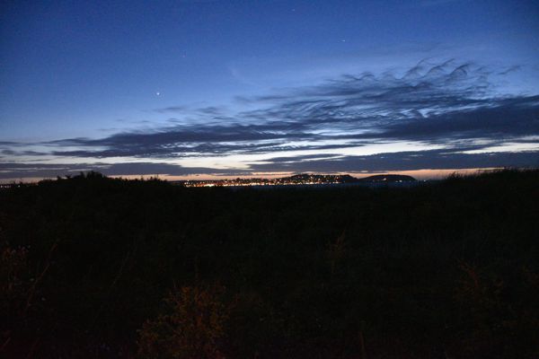 DSC_0341.JPG