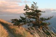 IMG_5432