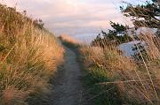 IMG_5433