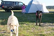 IMG_8295