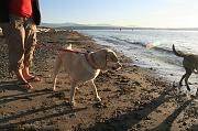 IMG_8306