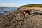 IMG_8307