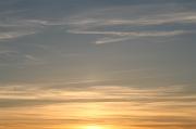IMG_8374