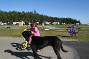 IMG_8401