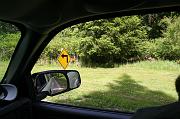 IMG_8445