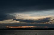 IMG_8502