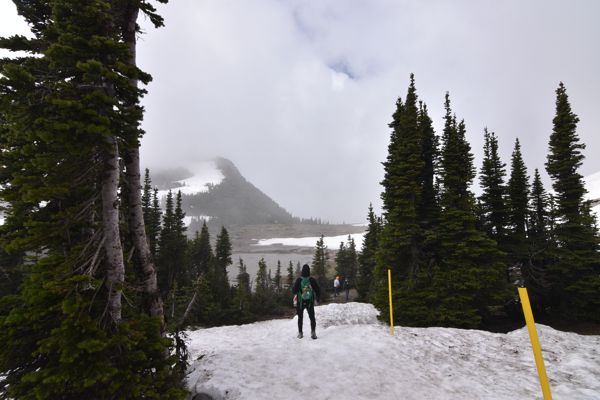 DSC_3062.JPG