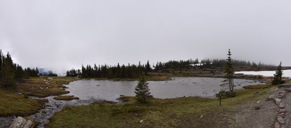 DSC_3067-DSC_3069.jpg