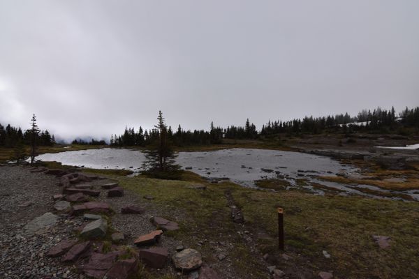 DSC_3075.JPG