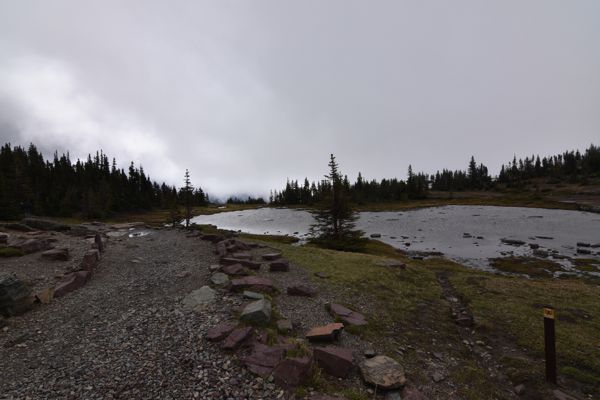 DSC_3076.JPG