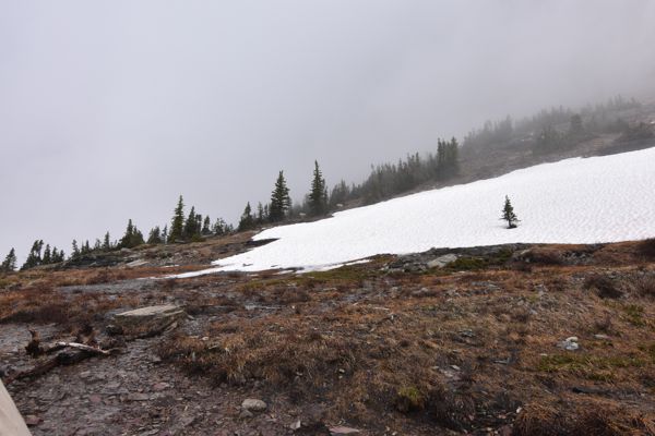 DSC_3085.JPG