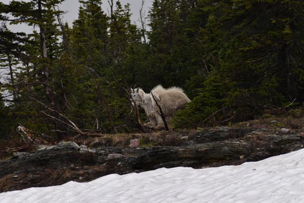 DSC_3087.JPG