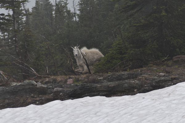 DSC_3094.JPG