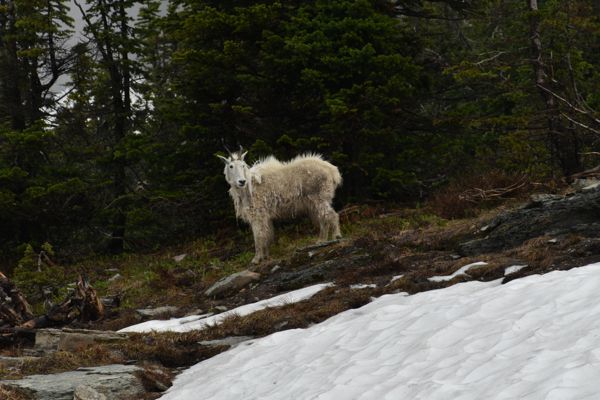 DSC_3110.JPG