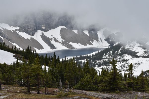 DSC_3156.JPG