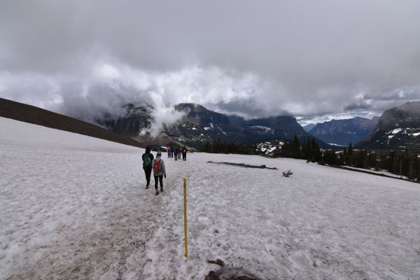 DSC_3172.JPG