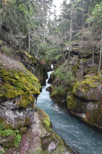 DSC_3313.JPG