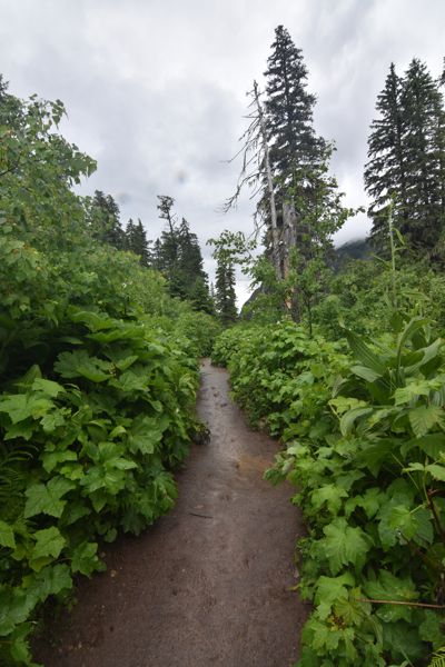 DSC_3385.JPG