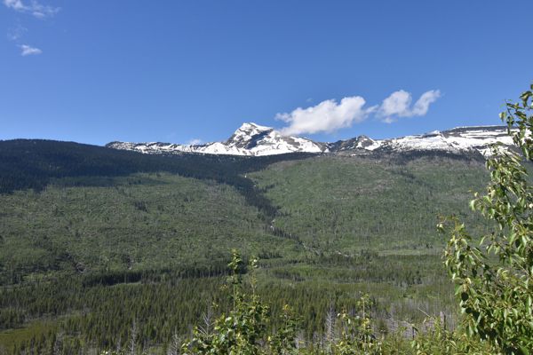 DSC_3428.JPG