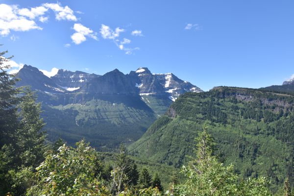 DSC_3441.JPG