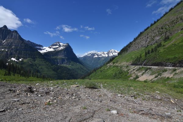 DSC_3464.JPG