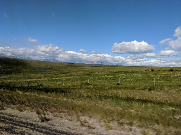 IMG_20180702_101322.jpg