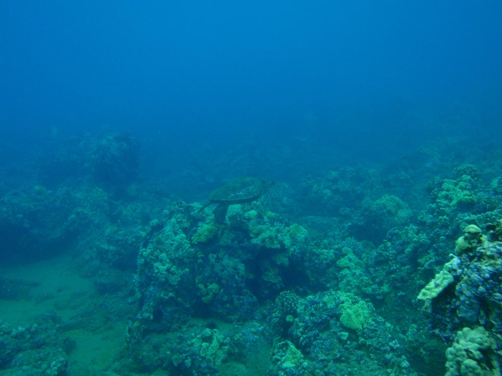 P4090485