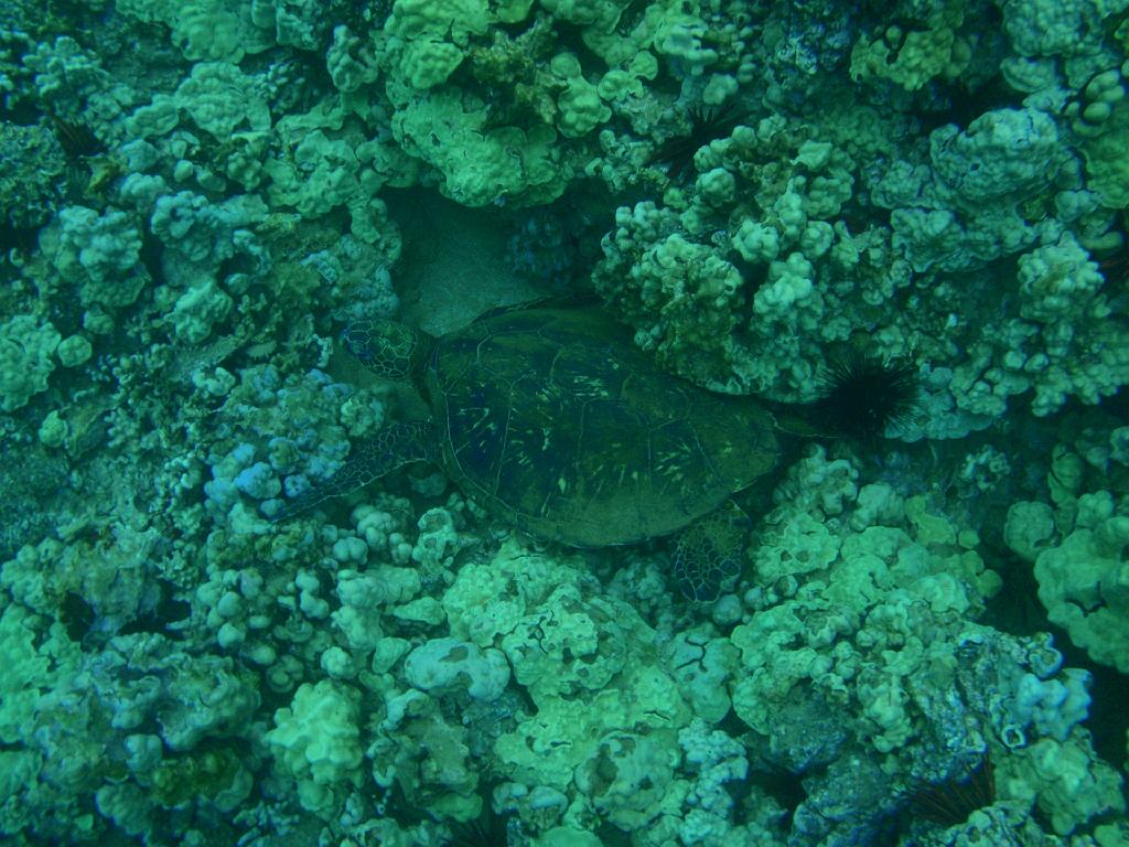 P4090488