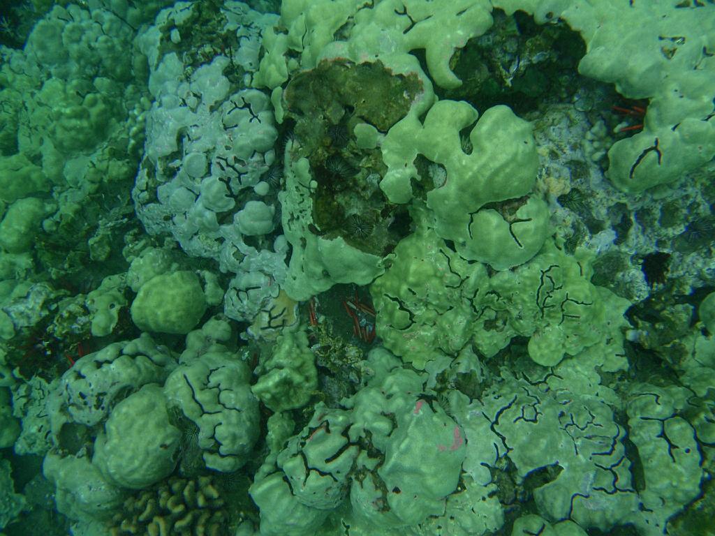 P4090519