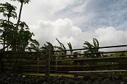 IMG_7804