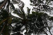 IMG_7896