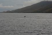 IMG_7952