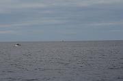 IMG_7963