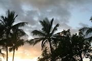 IMG_8095