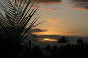 IMG_8214