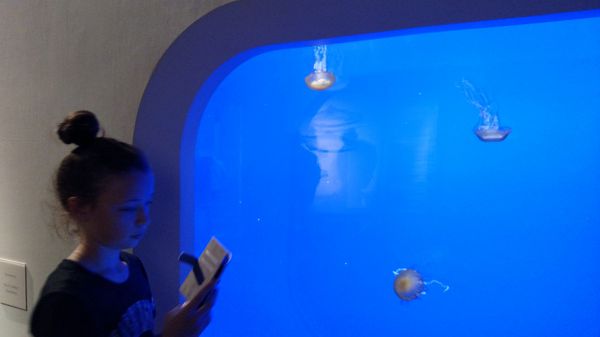 IMG_20160719_134515366.jpg
