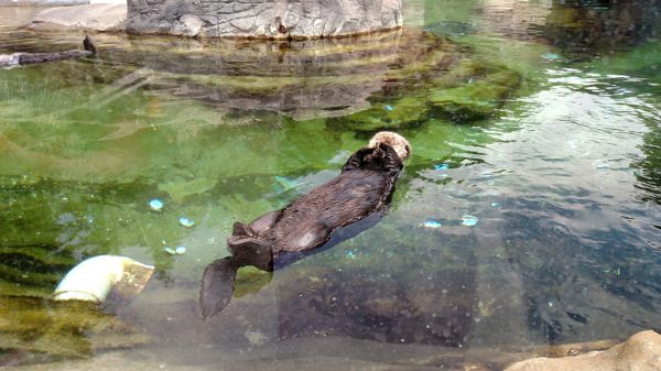 IMG_20160719_135536797.jpg