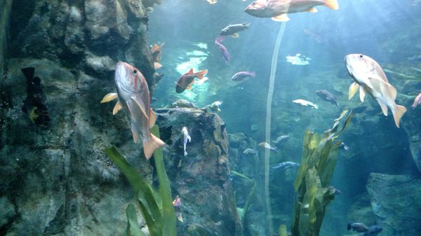 IMG_20160719_140152938.jpg