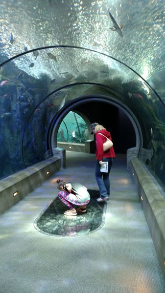 IMG_20160719_140214785.jpg