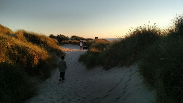 IMG_20160720_202642296.jpg