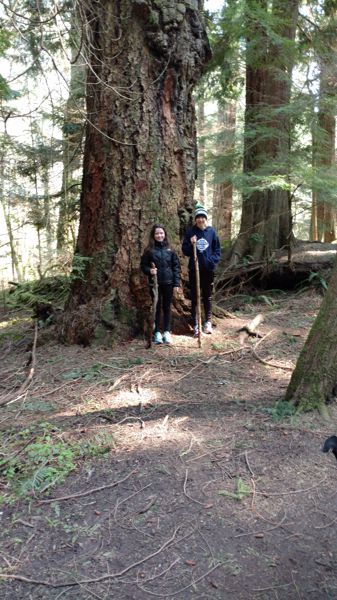 IMG_20170409_150457647_TOP.jpg